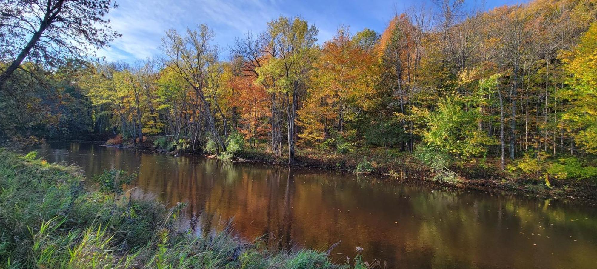 Black River Crossing Bed & Breakfast Bessemer Dış mekan fotoğraf